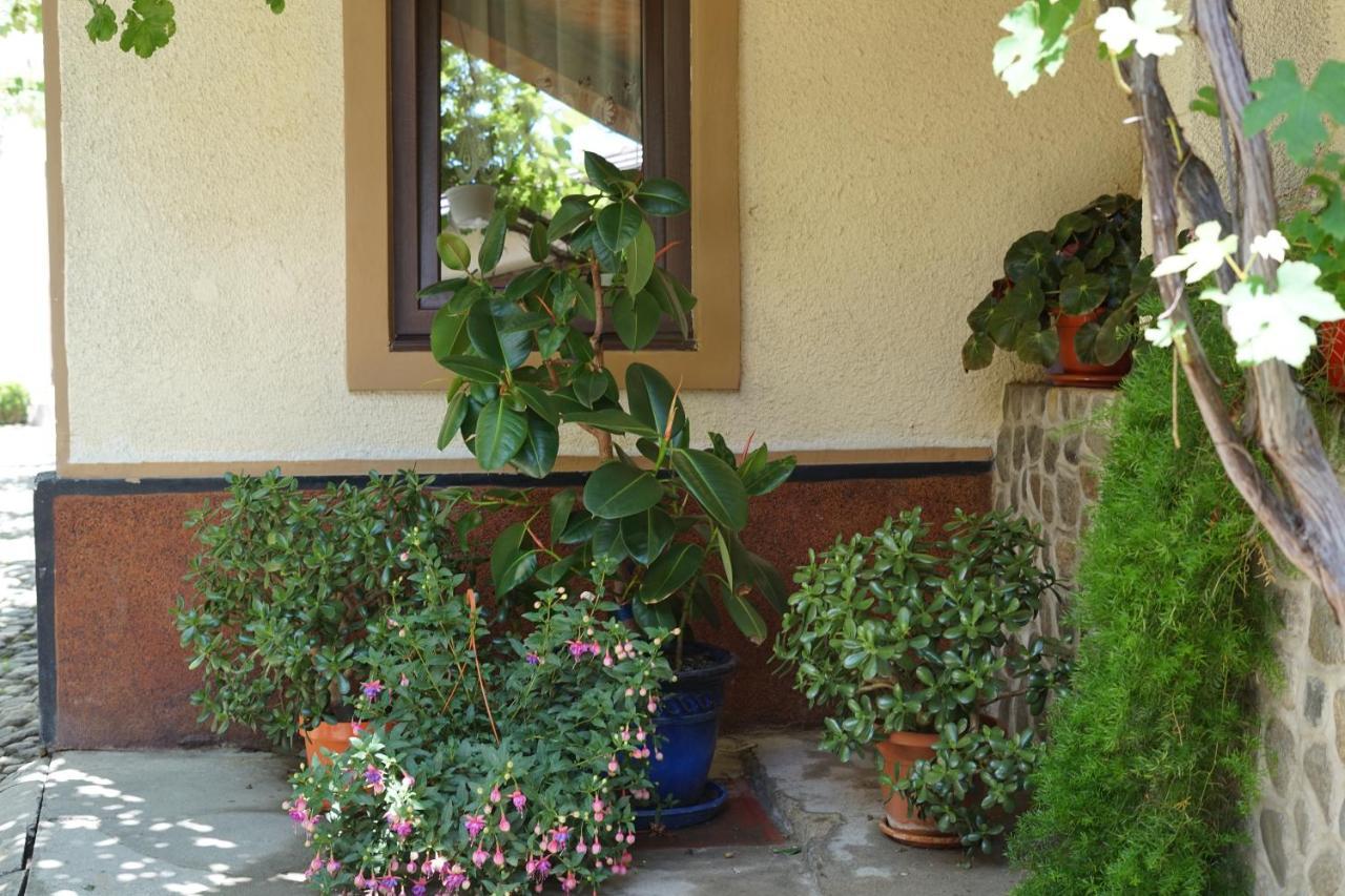Casa Ciortea Ana Sibiel Εξωτερικό φωτογραφία