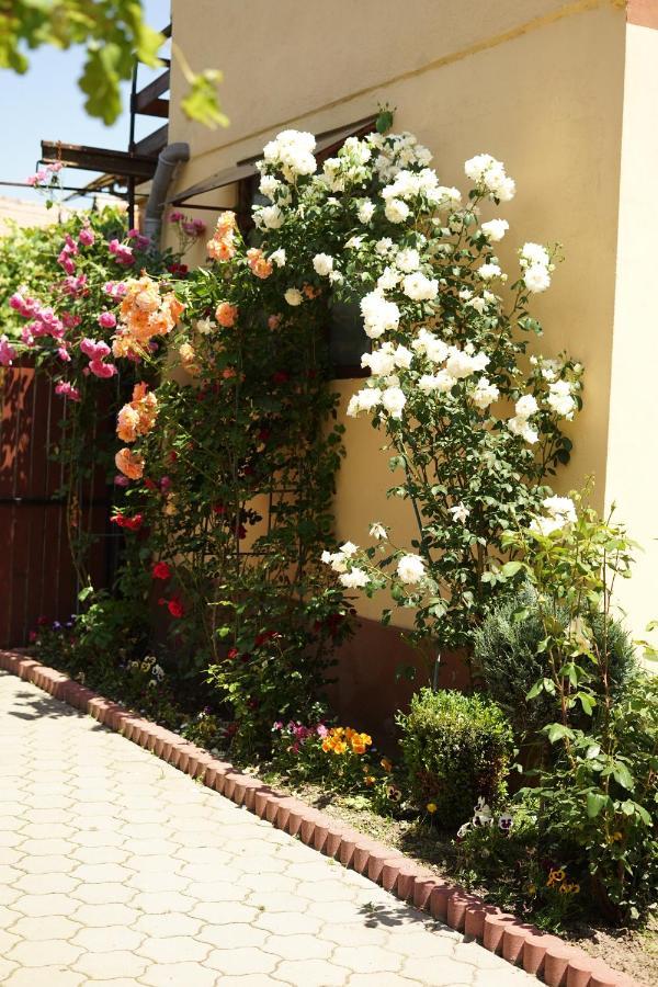 Casa Ciortea Ana Sibiel Εξωτερικό φωτογραφία